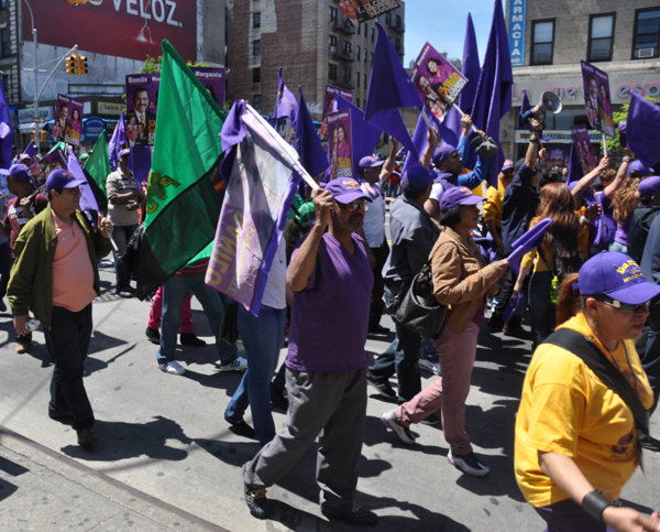 A Sea of Purple and Gold