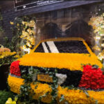 orchid  show