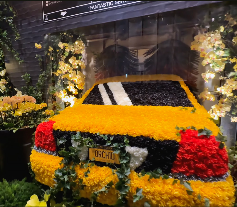 orchid  show